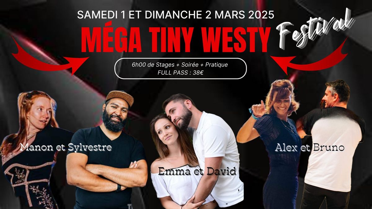 MEGA TINY WESTY FESTIVAL: 6 intervenants, jusqu'\u00e0 6h de stages, 1 soir\u00e9e+ 1 pratique.