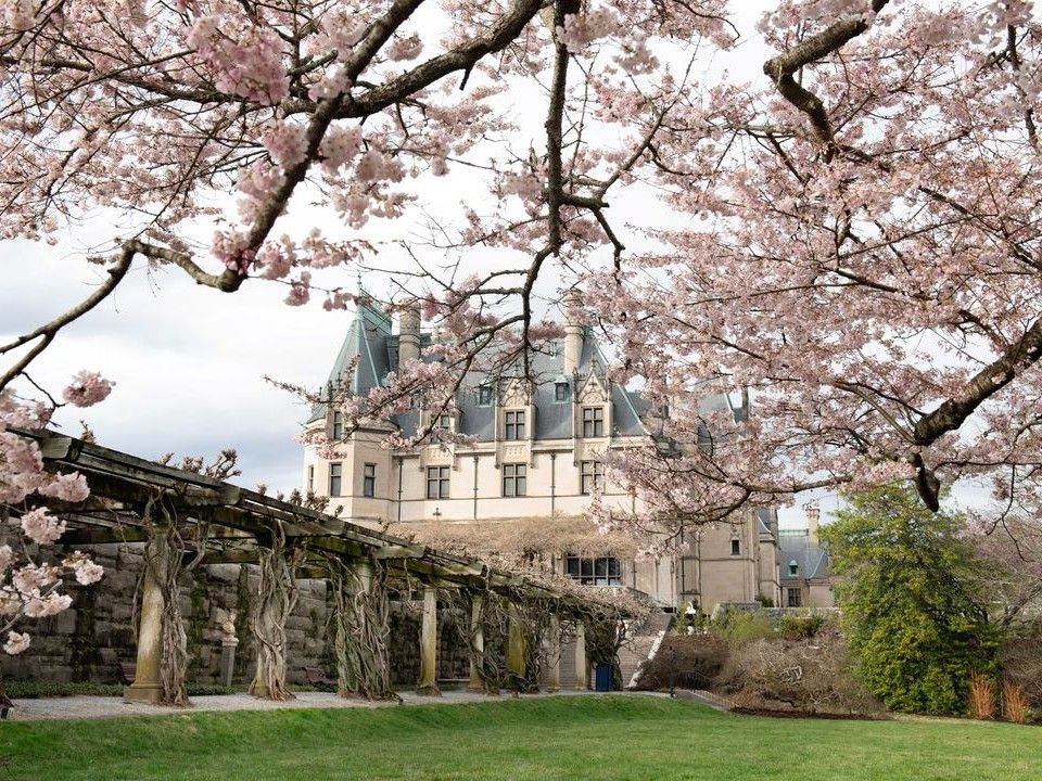 Biltmore in Bloom