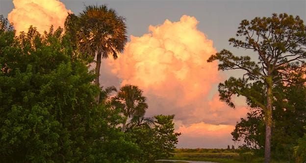 Nine Principles of Florida-Friendly Landscaping @ Lakes Regional Library