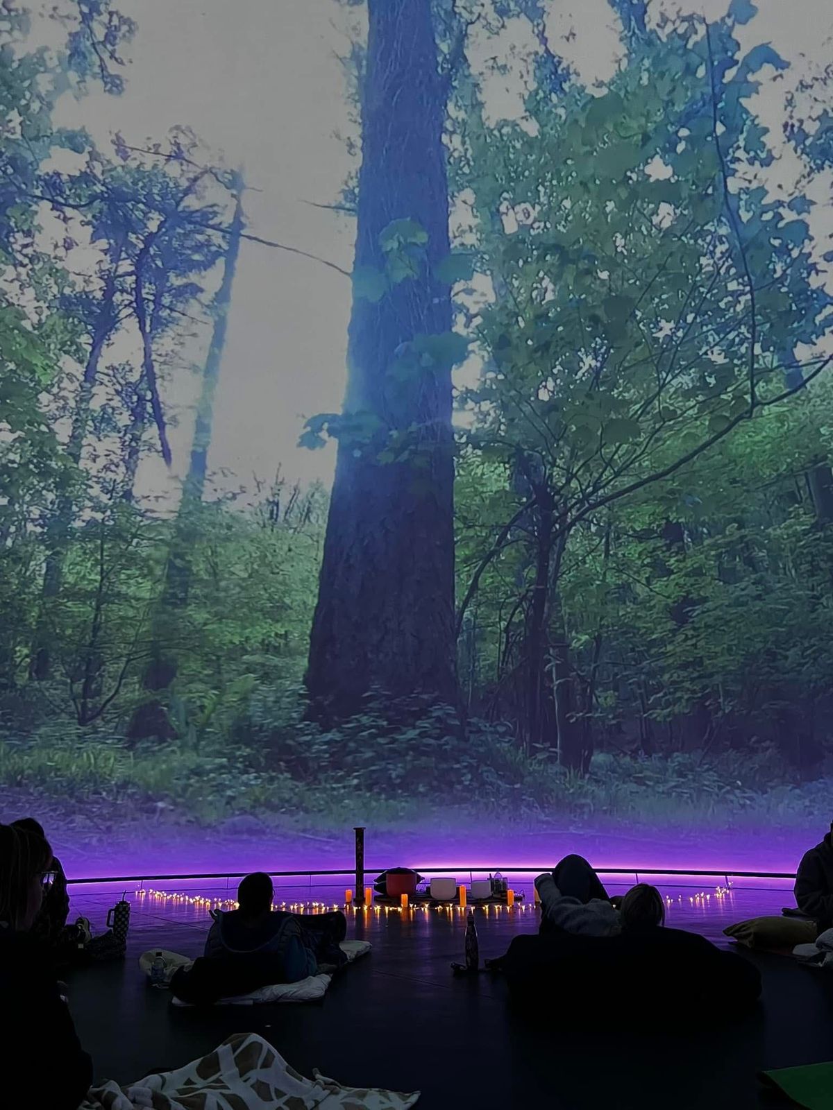 Immersive Dome Sound Bath with Guided Meditation and Reiki - APRIL 