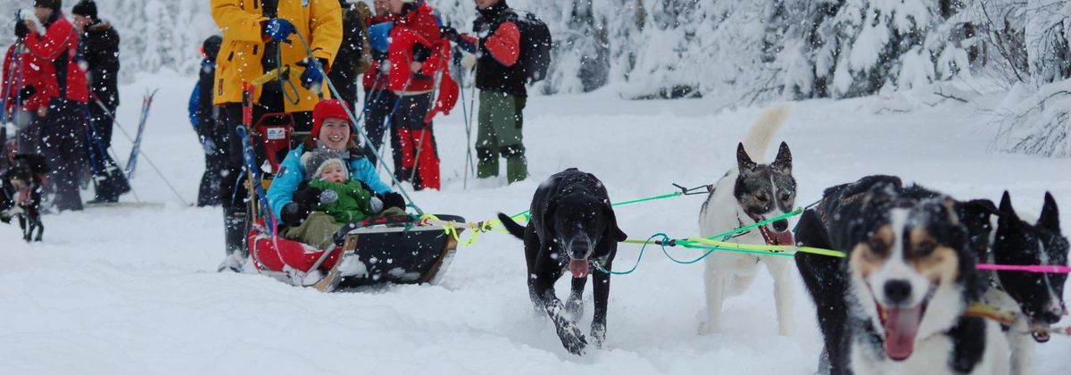 Familiecamp med hundekj\u00f8ring i vinterferien