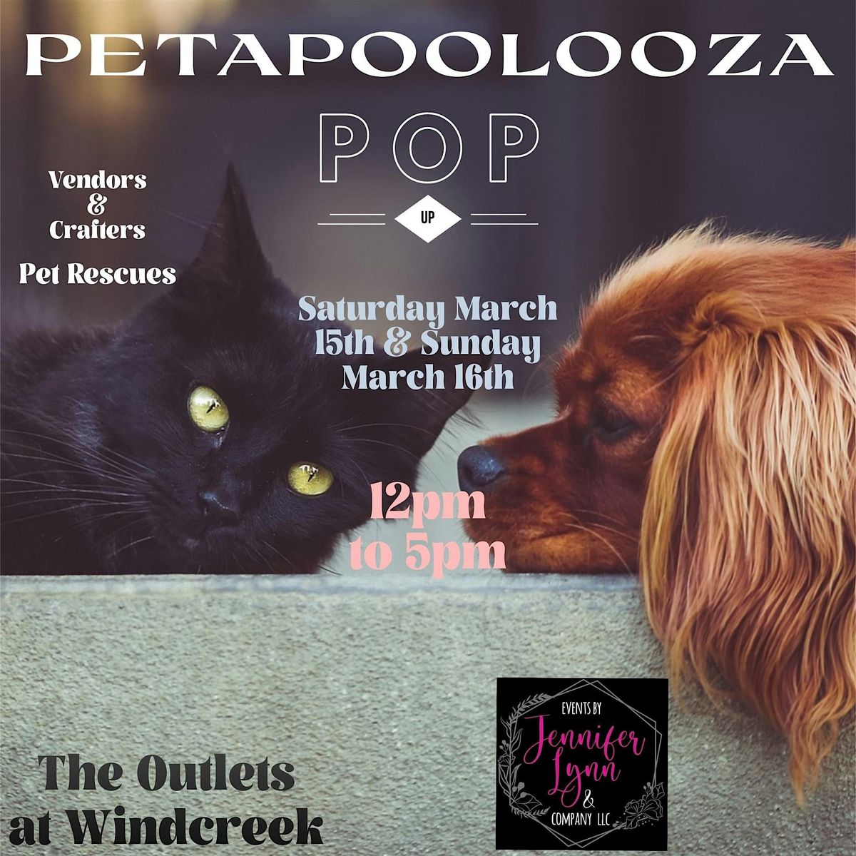 Petapoolza Pop Up