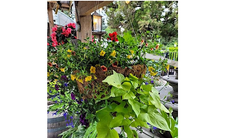 Moss Hanging Basket Workshop