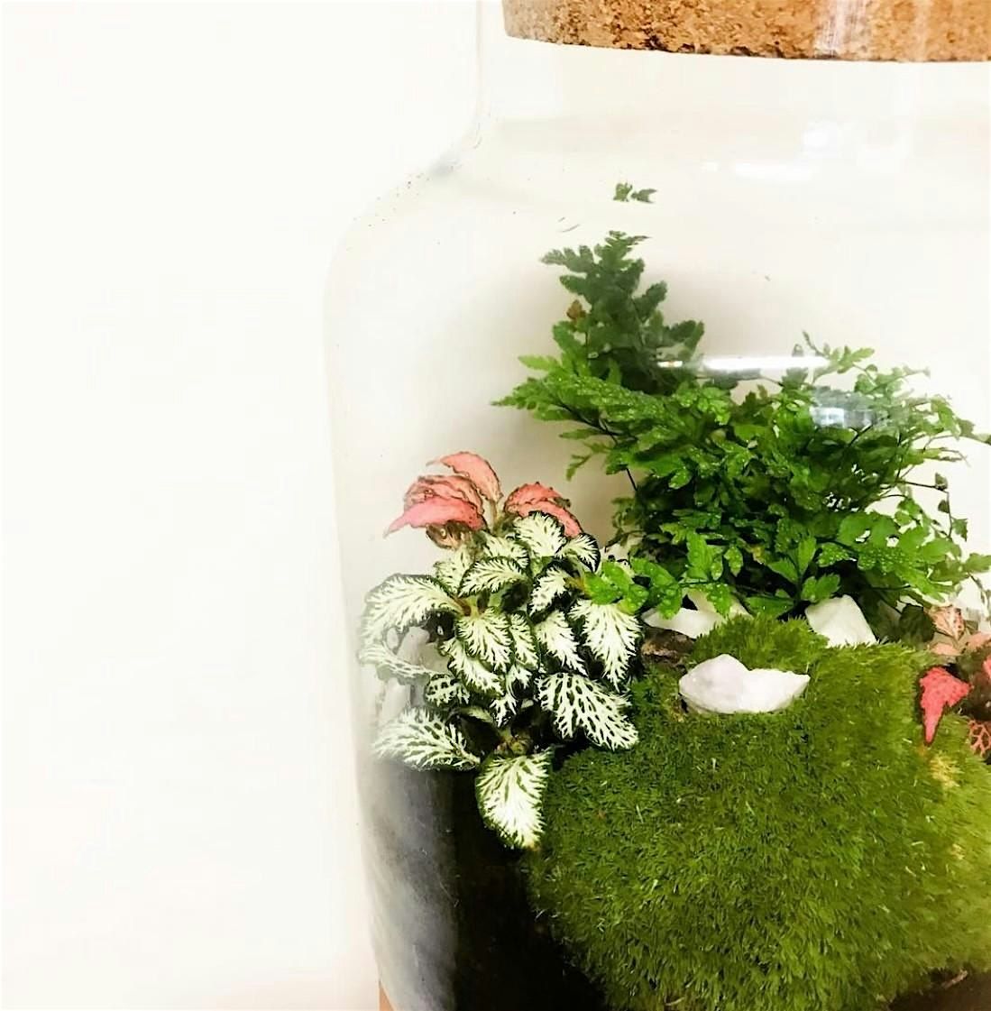 Corked Jar Terrarium Workshop