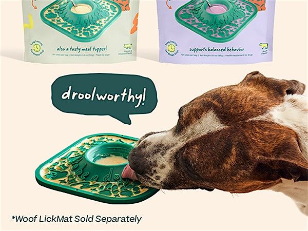 Bark Buddies : Lick & Learn event