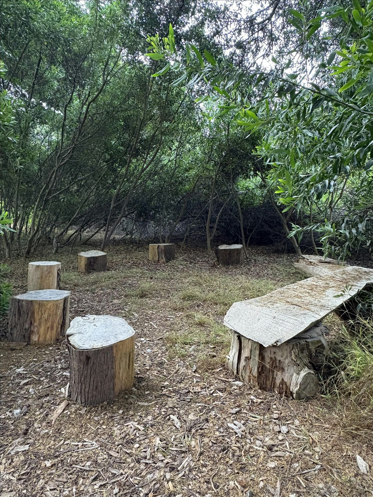 Lark Well-being Day - September 26th at TreePeople