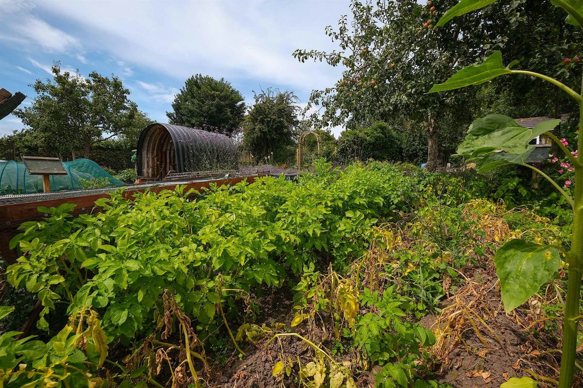 Guided Tour of St Ann's Allotments