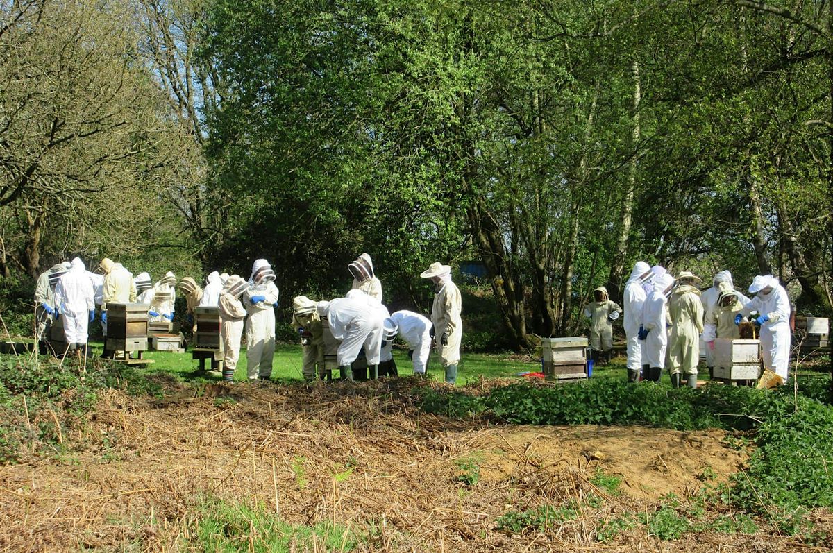 PDBKA Beginner Beekeepers Training - Theory and Practical Sessions 2026