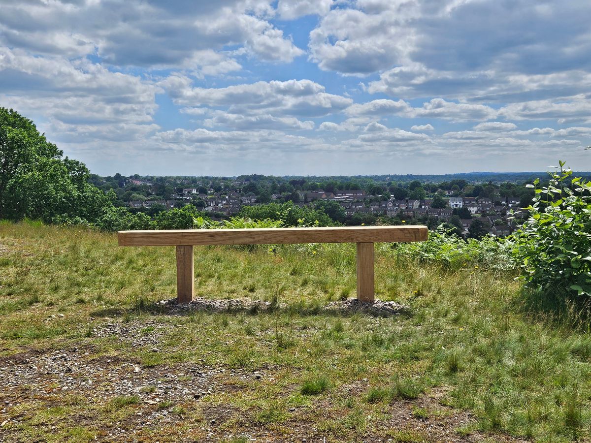 Friends of Croham Hurst Woods AGM