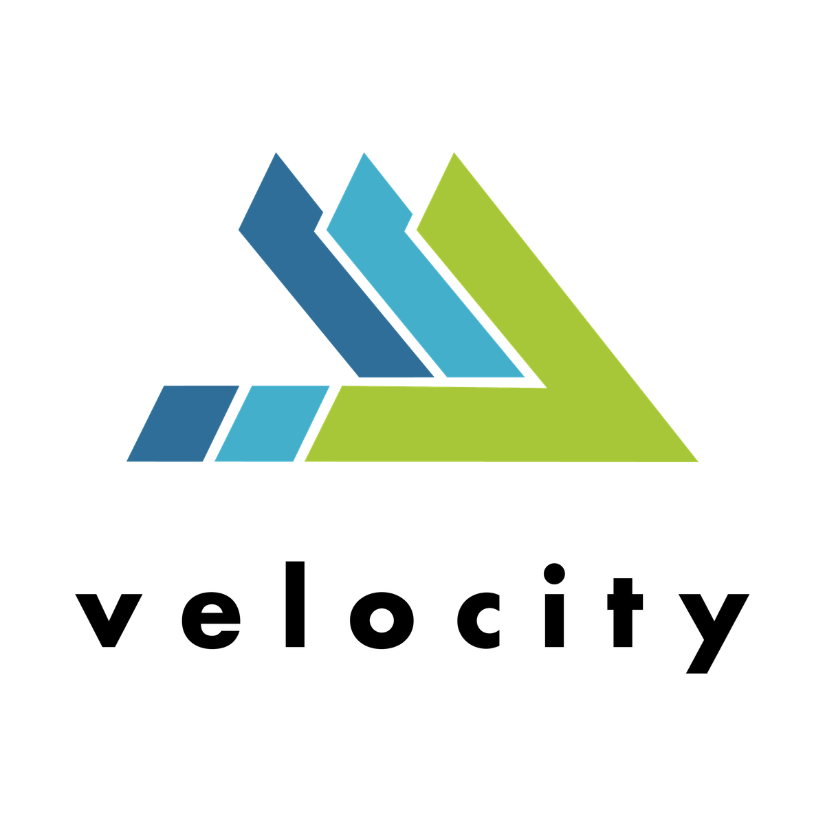 Pioneers and Young Professionals