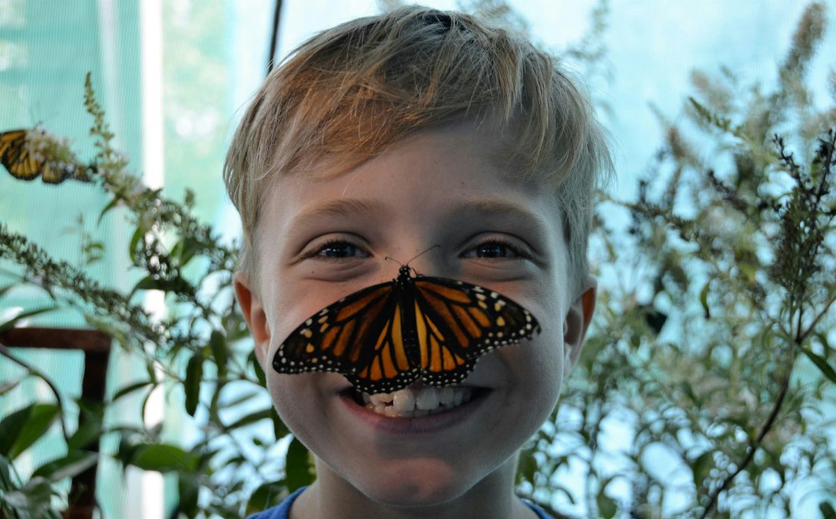2025 Kiwanis Butterfly Festival in Keller (Previously Southlake)