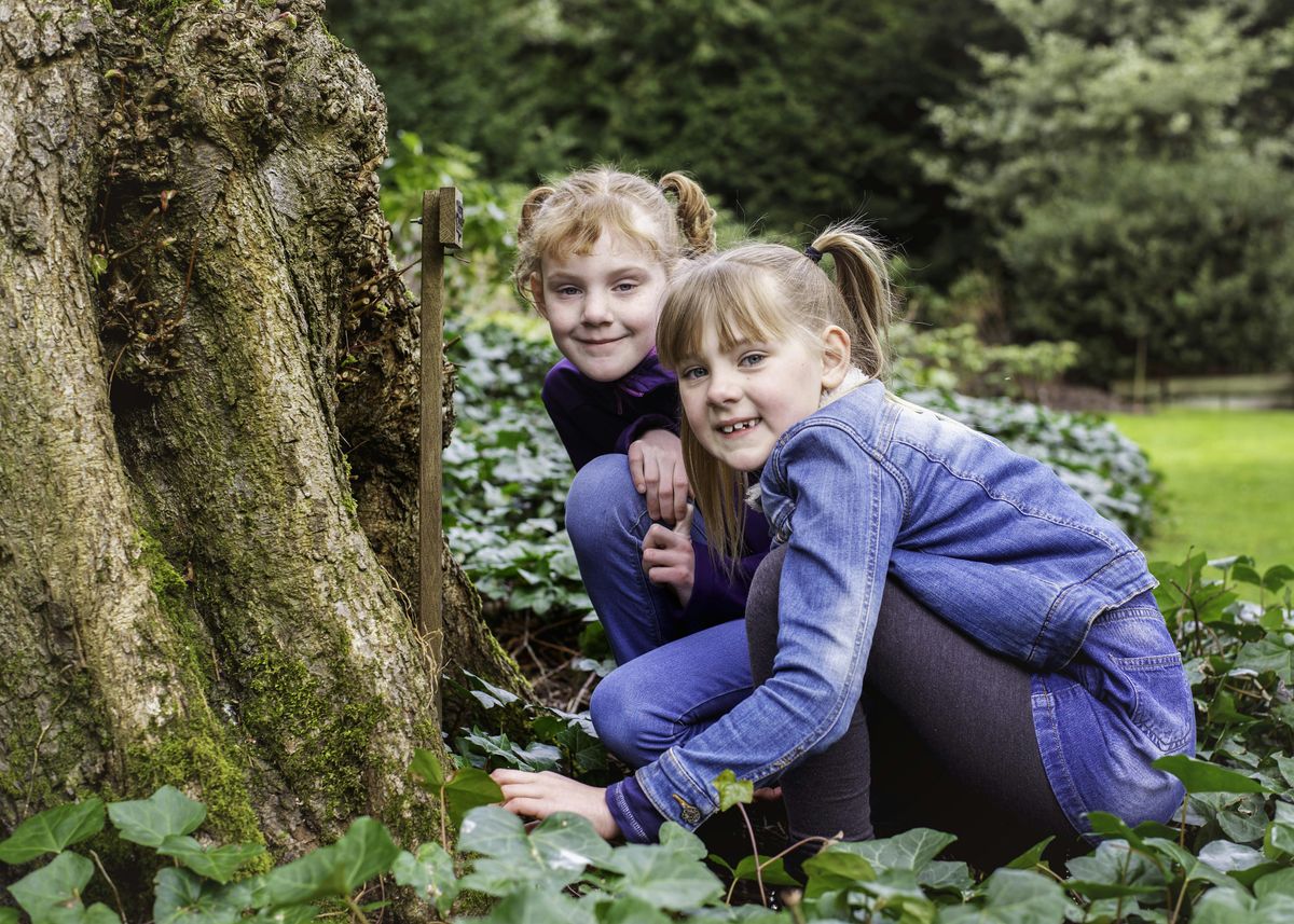 Pond Dipping @ Parkridge