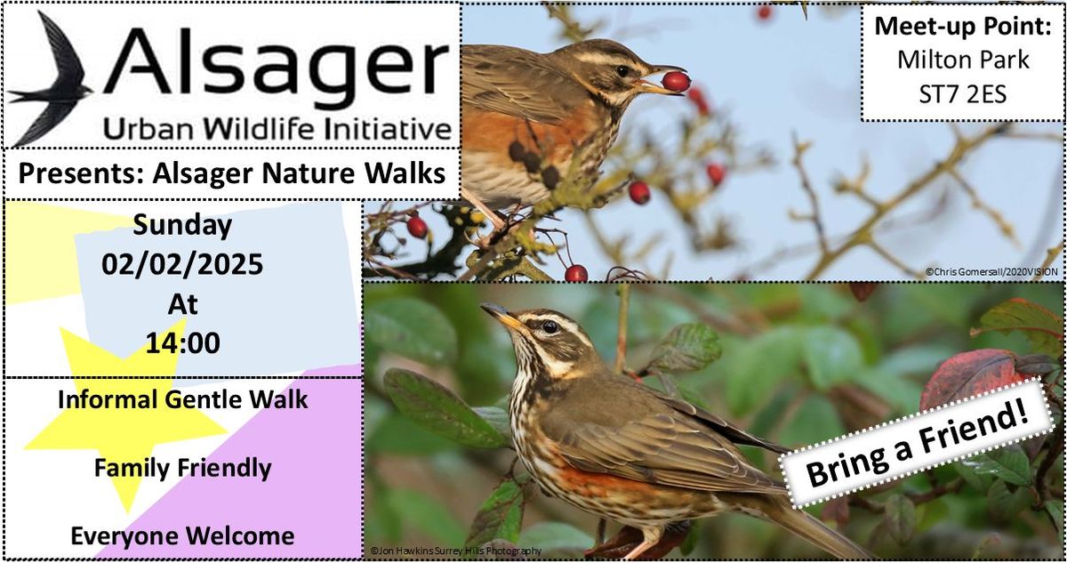 Alsager Nature Walks - February 