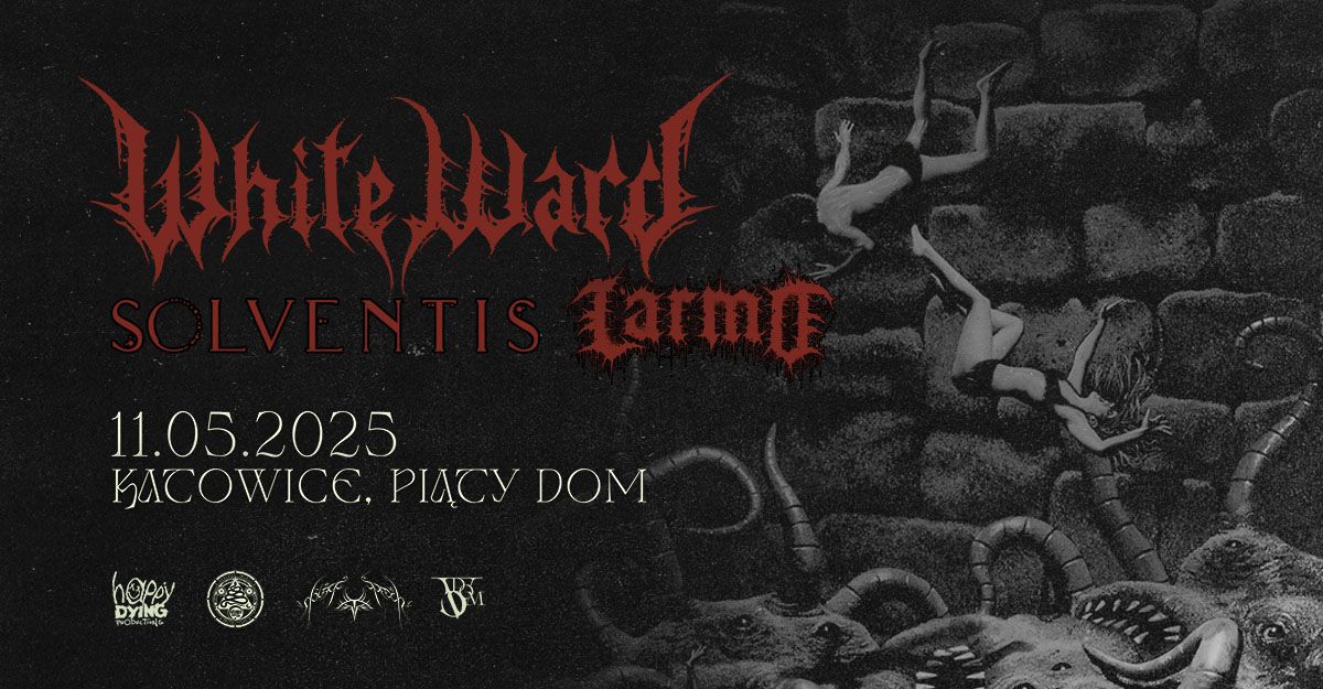 WHITE WARD (UA) + SOLVENTIS (FR) + LARMO \/ Katowice, Pi\u0105ty Dom