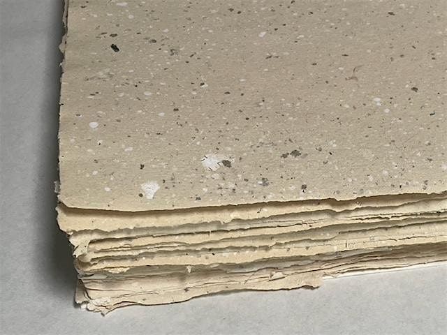 Plants to Paper: Paper Making with Natural Fibers - Nov 22 & 23 , 2025