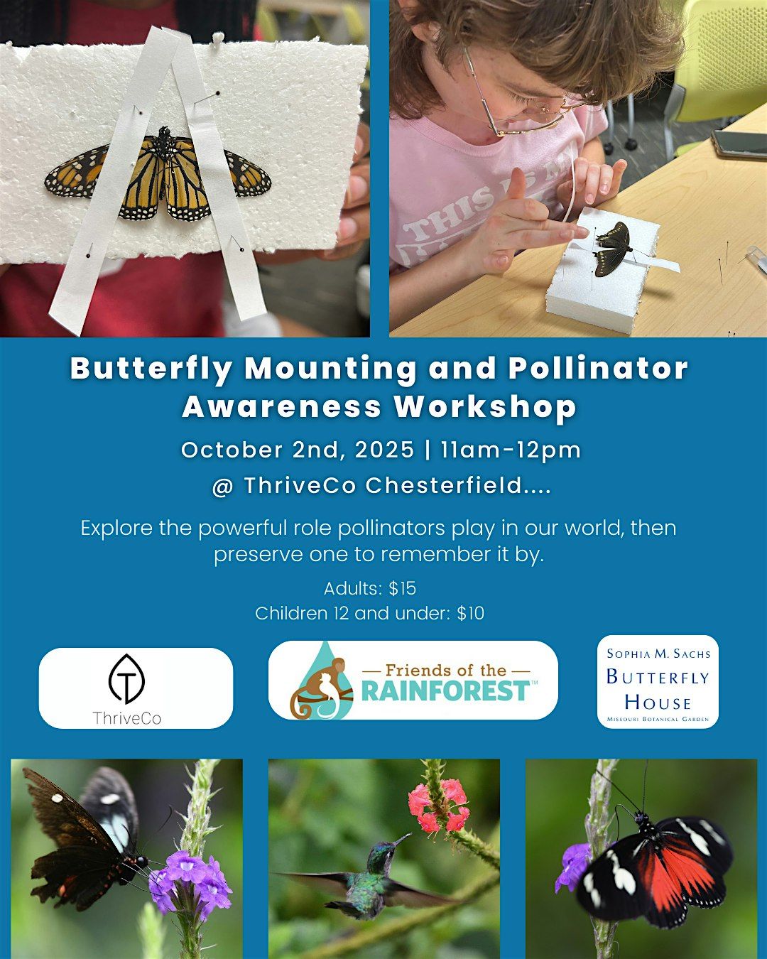 Butterfly Mounting and Pollinator Awareness Workshop