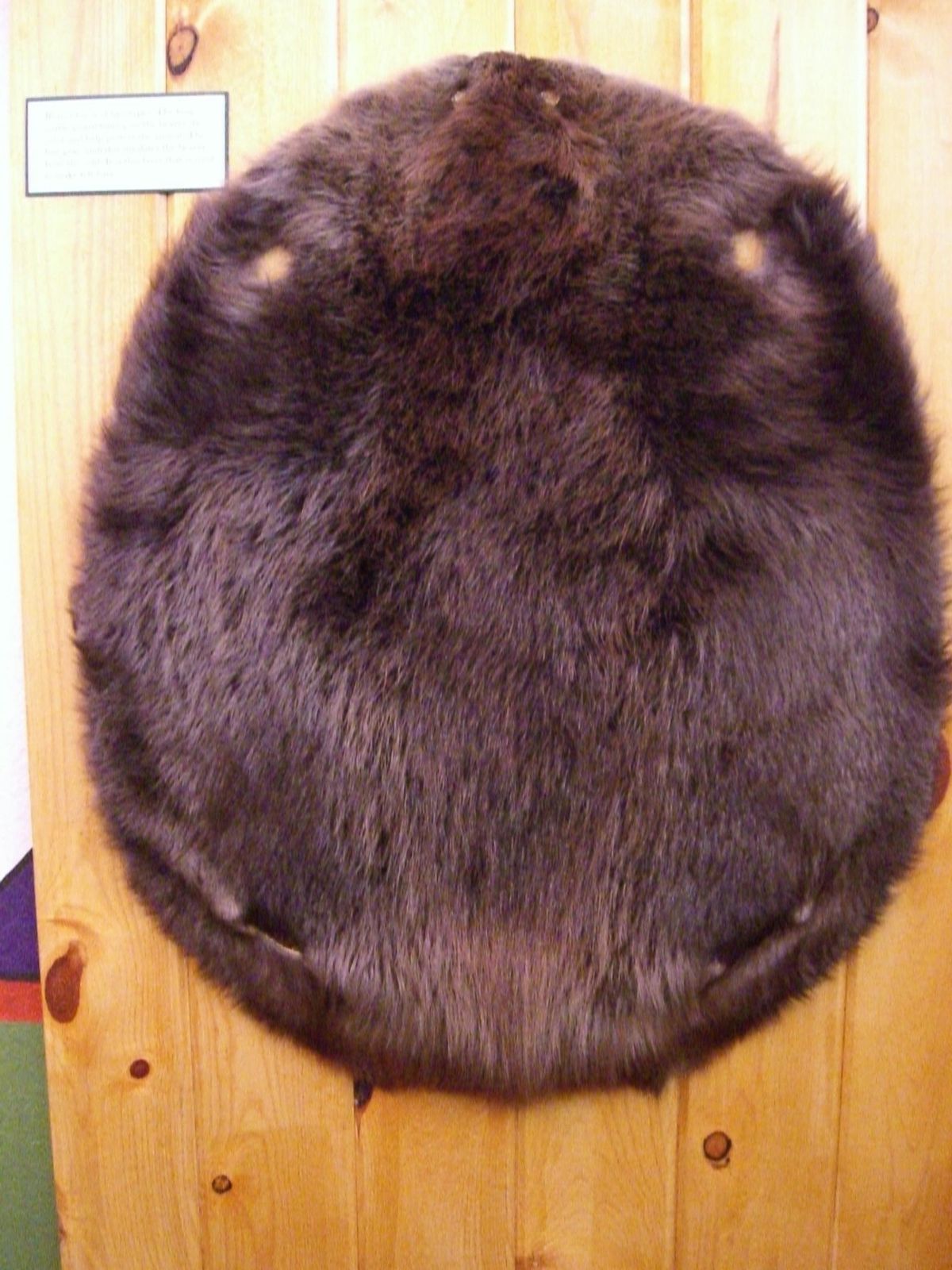 Make Your Own Beaver Musher Mittens