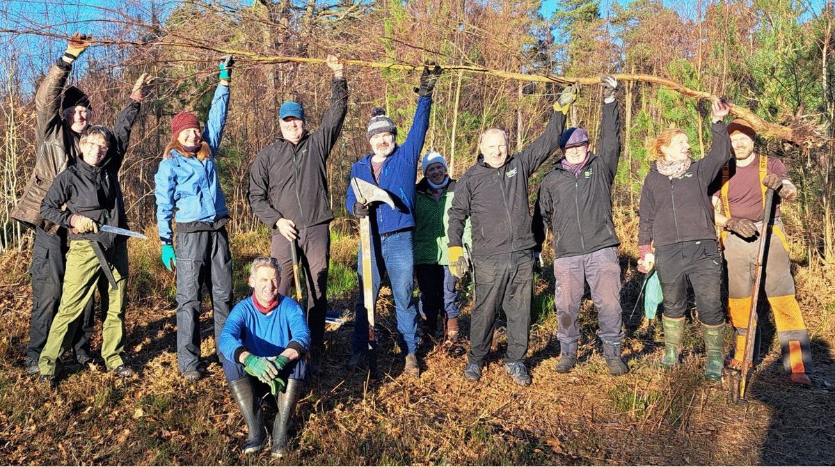 National Landscapes Volunteer Day at St Mary's, Chapel Hill 