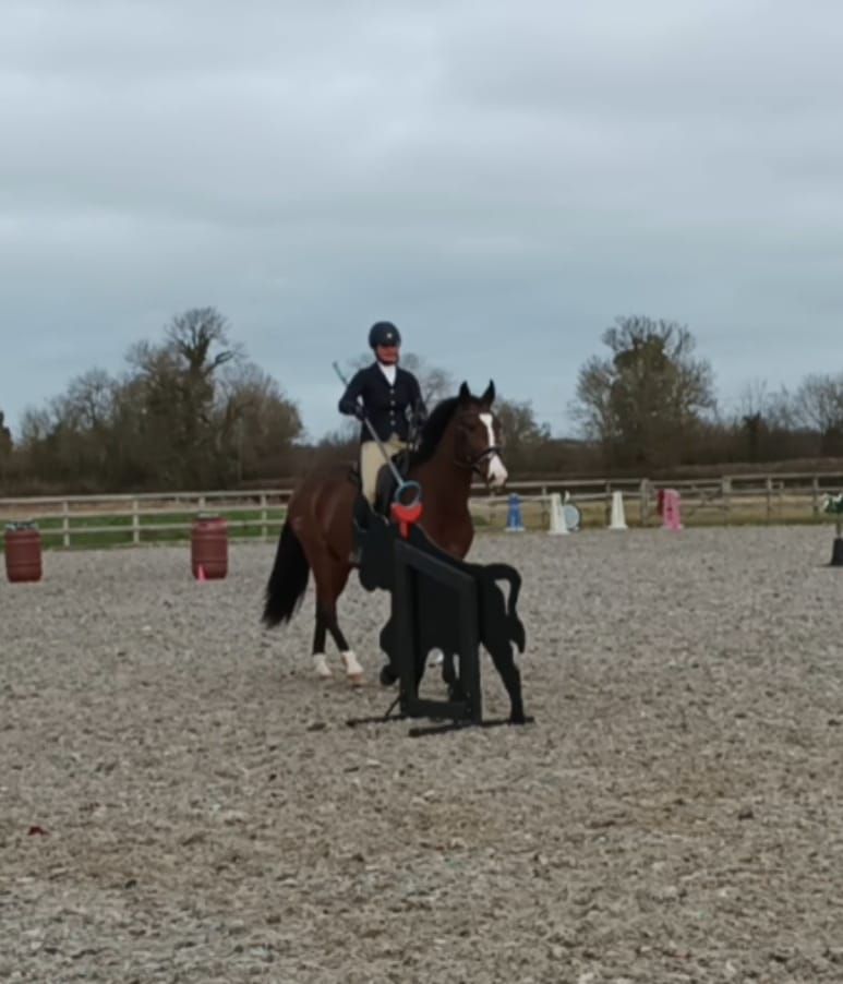 Working Equitation Training Competition 