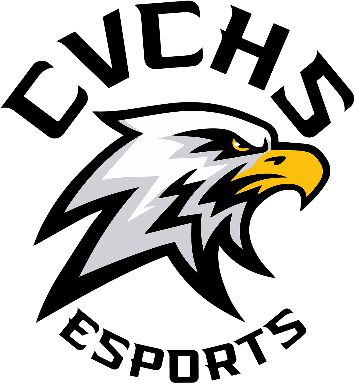 "Esports In Action" A CVCHS  Esports Invitational and STEAM Expo