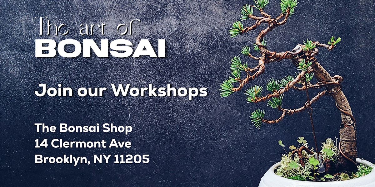 BYOBonsai Pruning and Wiring Class, 11\/15