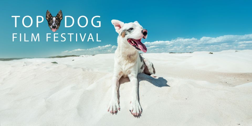 Top Dog Film Festival 2023 - Perth Sat 26 Aug 2pm 