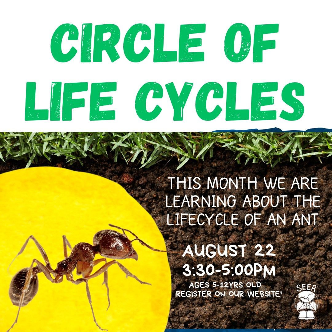 Afterschool Circle of Life Cycles: Ant