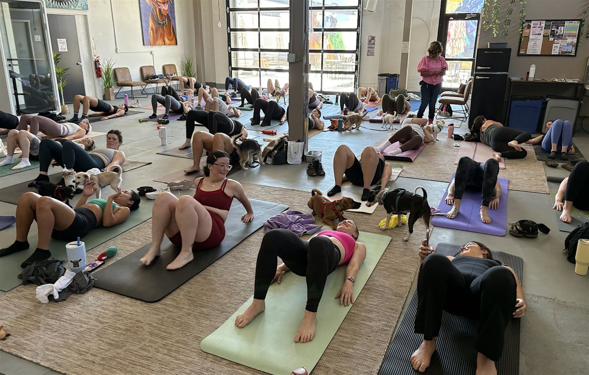 Paws & Flow Puppy Yoga