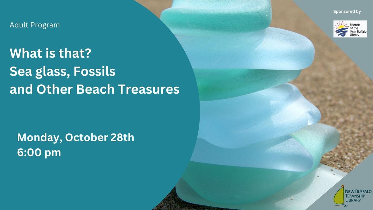 What is that?  Sea glass, Fossils  and Other Beach Treasures