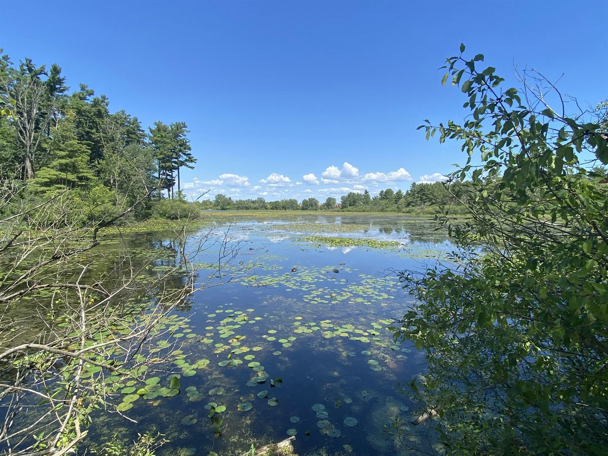 Contemplative Photography -Mud Lake