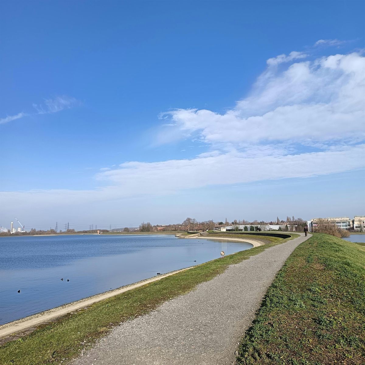 Grief Walk at Walthamstow Wetlands