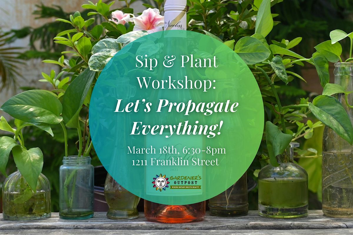 Sip & Plant Workshop: Let's Propagate Everything!