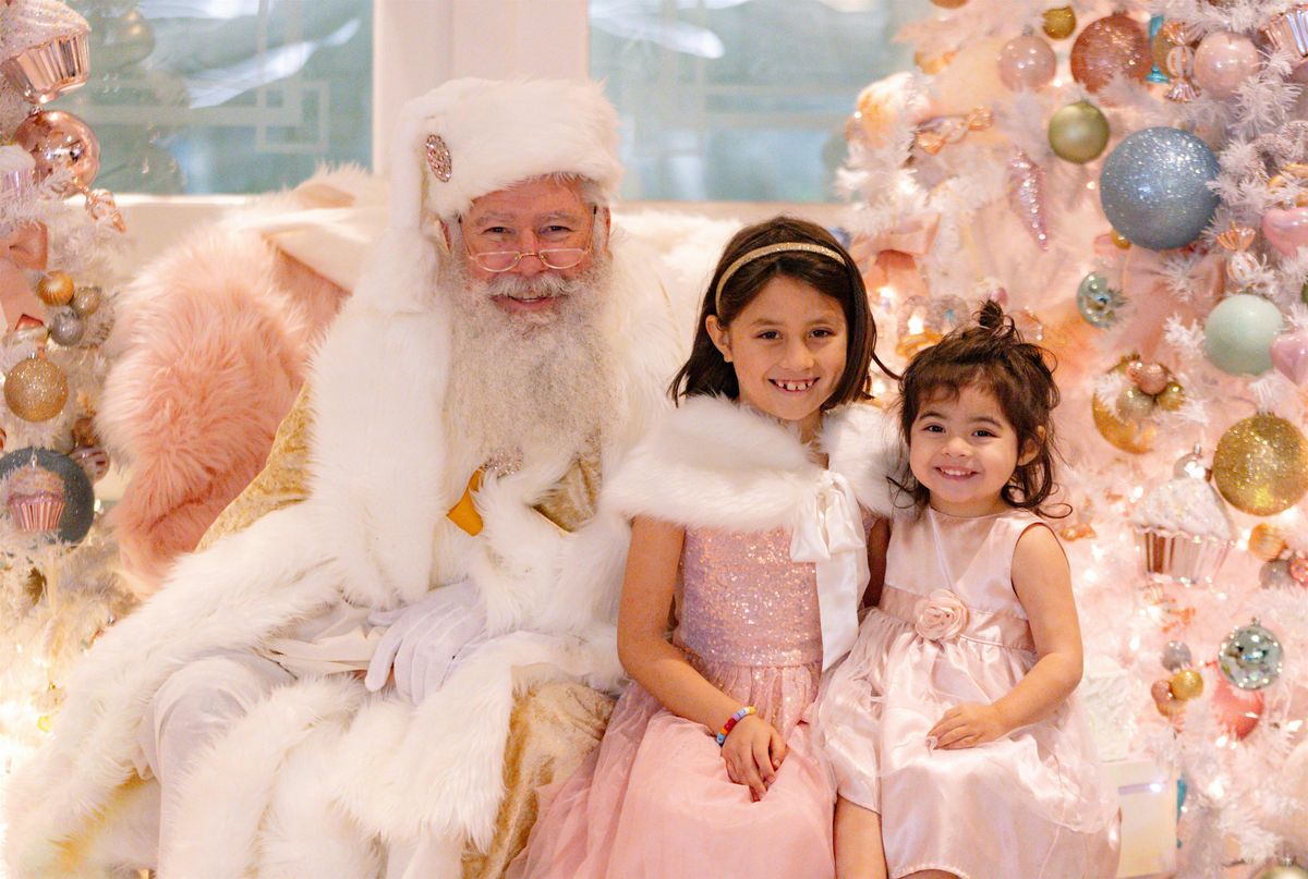 November 29: Whimsical Holiday Mini Sessions WITH SANTA - Pets or Kids!
