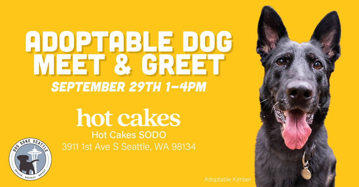 Adoptable Dog Meet and Greet