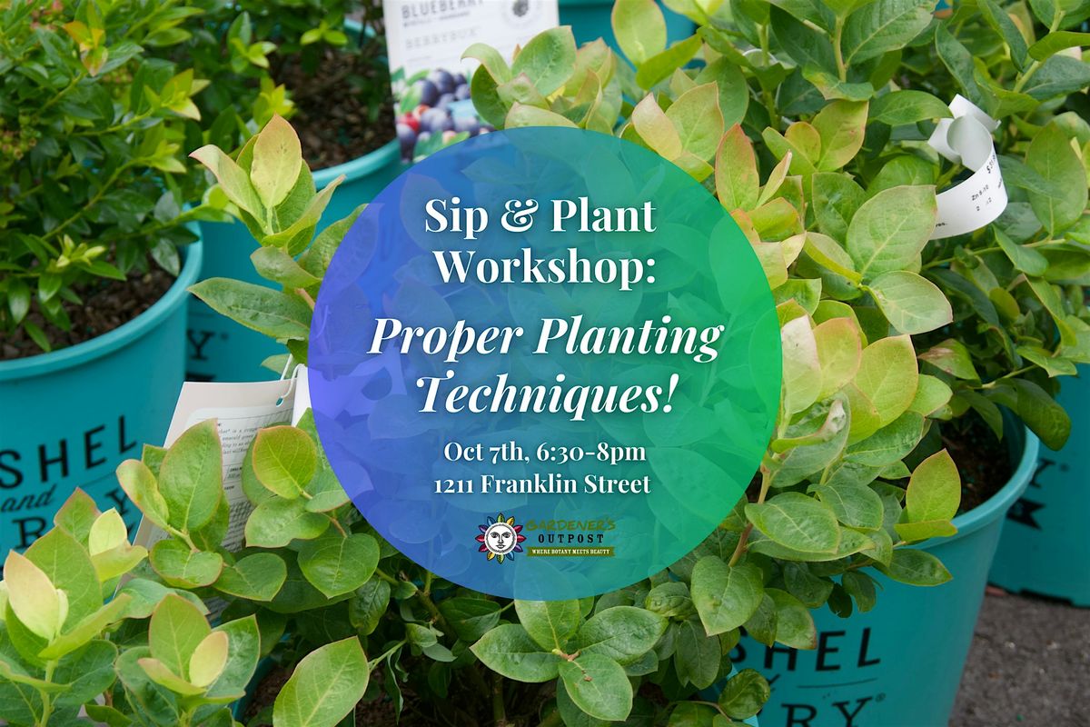 Proper Planting Techniques!