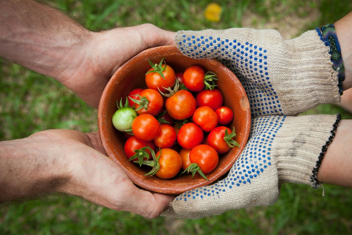 Annual Master Gardener Training