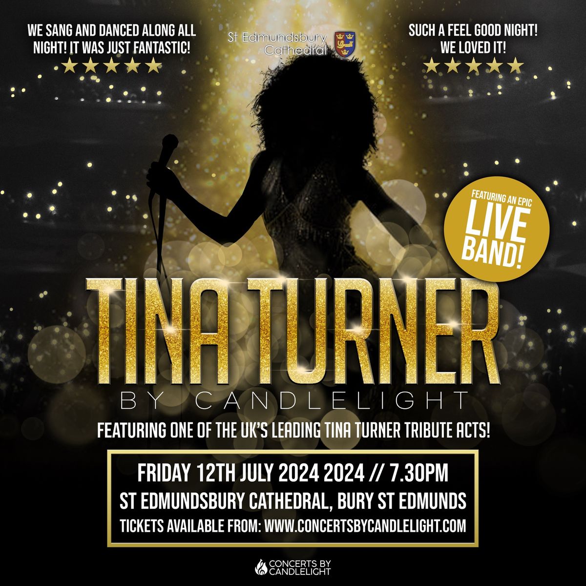 Tina Turner By Candlelight At St Edmundsbury Cathedral