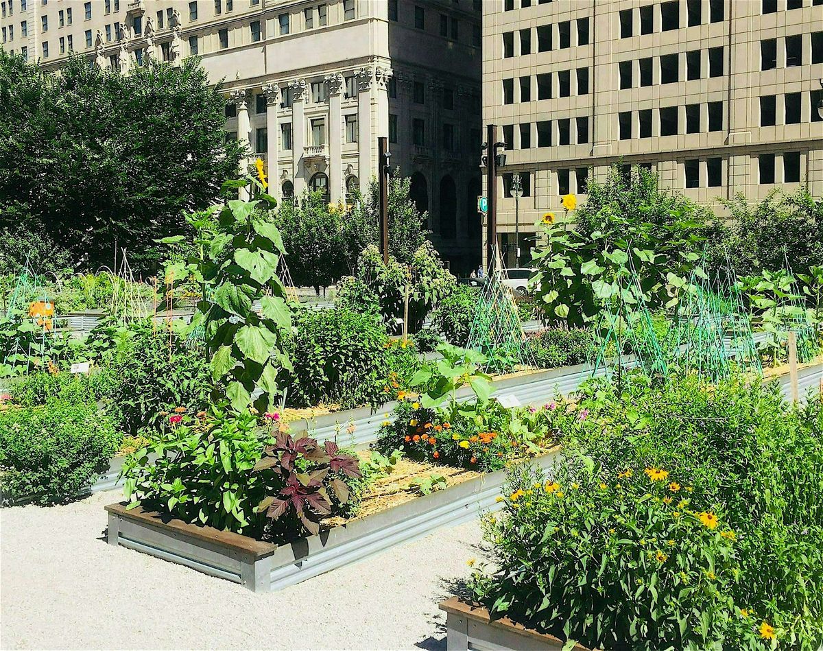 Lafayette Greens Garden Volunteering