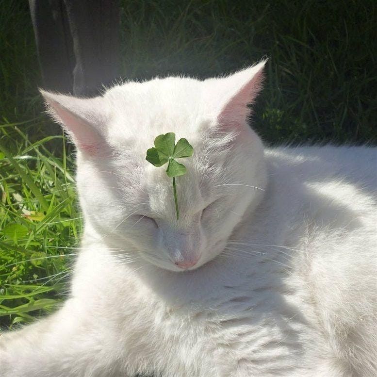 Make Your Own Luck | Confidence Workshop and Lucky Charm Crafting
