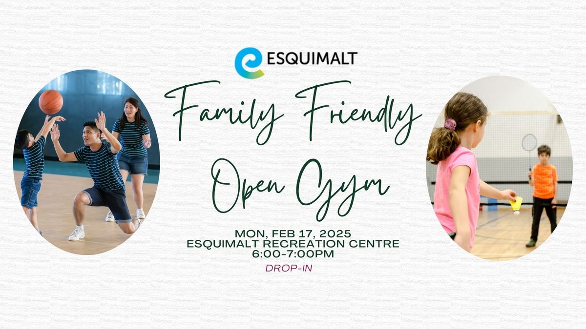 Family Friendly Open Gym