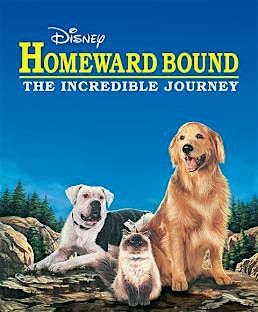 Bring Your Pup to the Movies - Homeward Bound