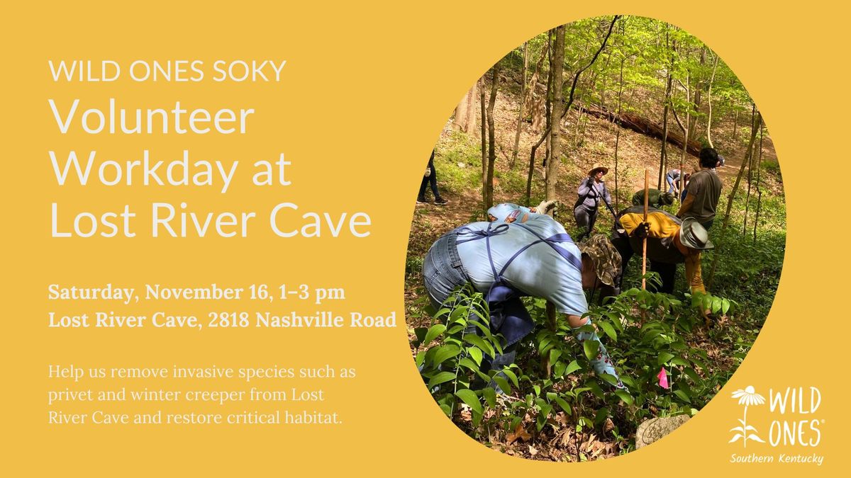 Volunteer Workday at Lost River Cave