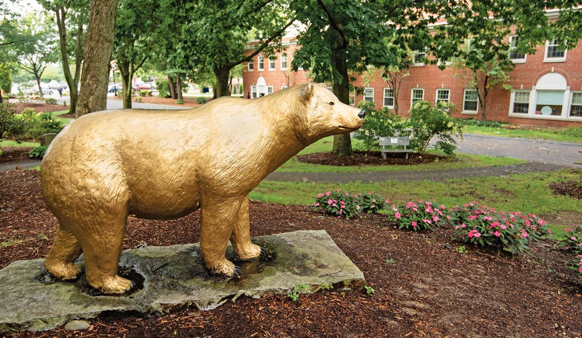 Parking St. Lawrence Saints at Brown Bears Mens Hockey
