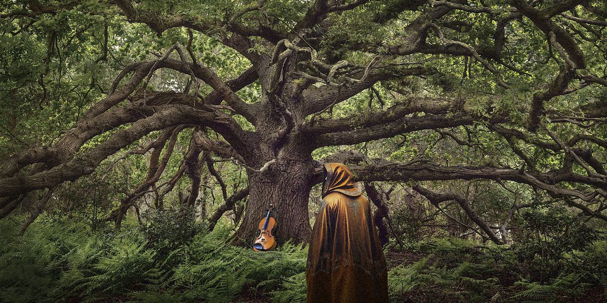 The Ancient Oak of Baldor