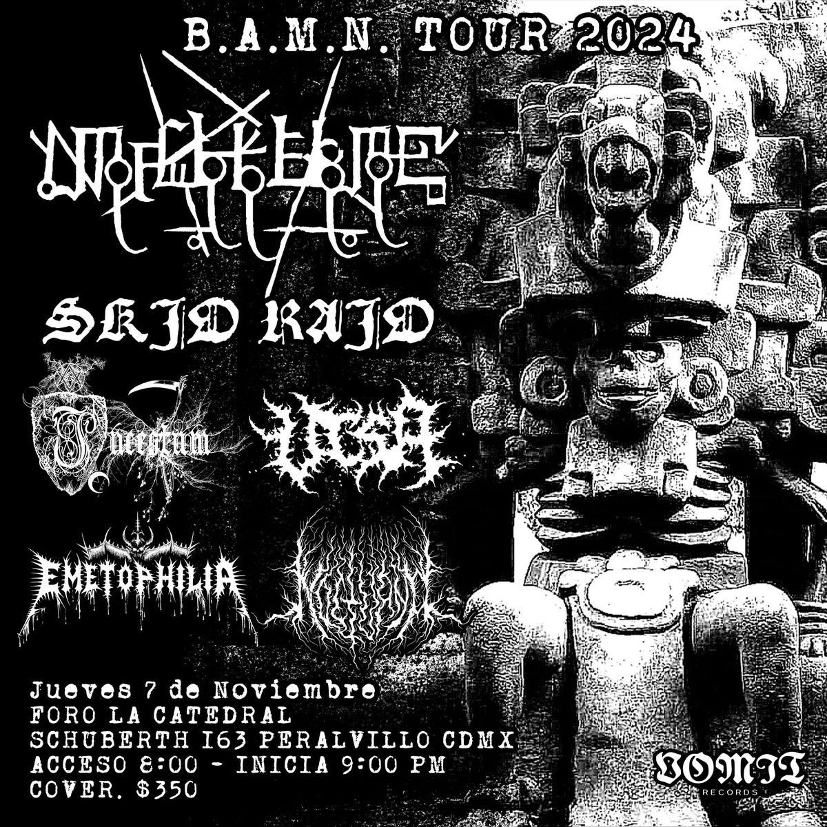 B. A. M. N. TOUR 2024 CDMX 