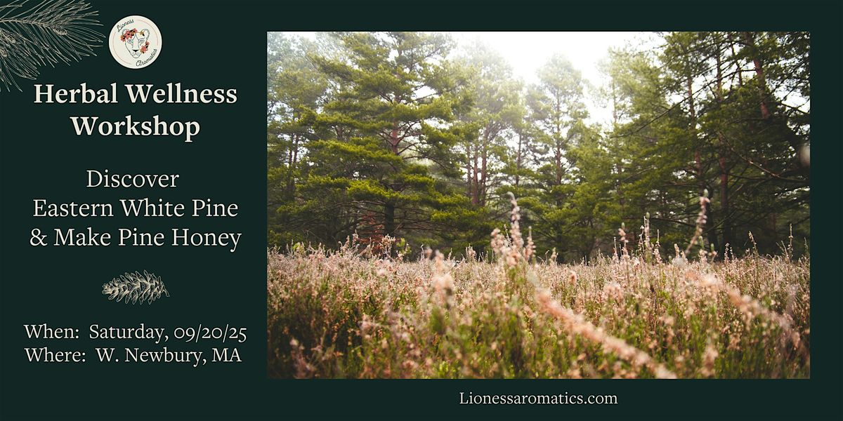 Herbal Wellness Workshop:  Discover Eastern White Pine + Make Pine Honey