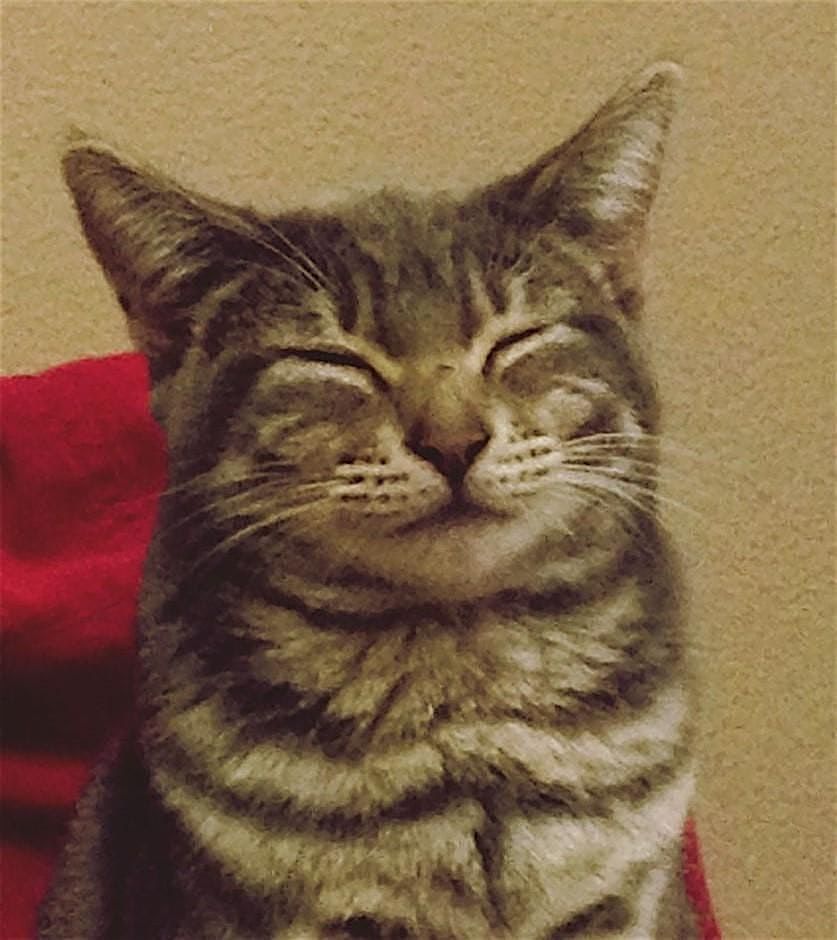 Welcome to Meditation Mondays!