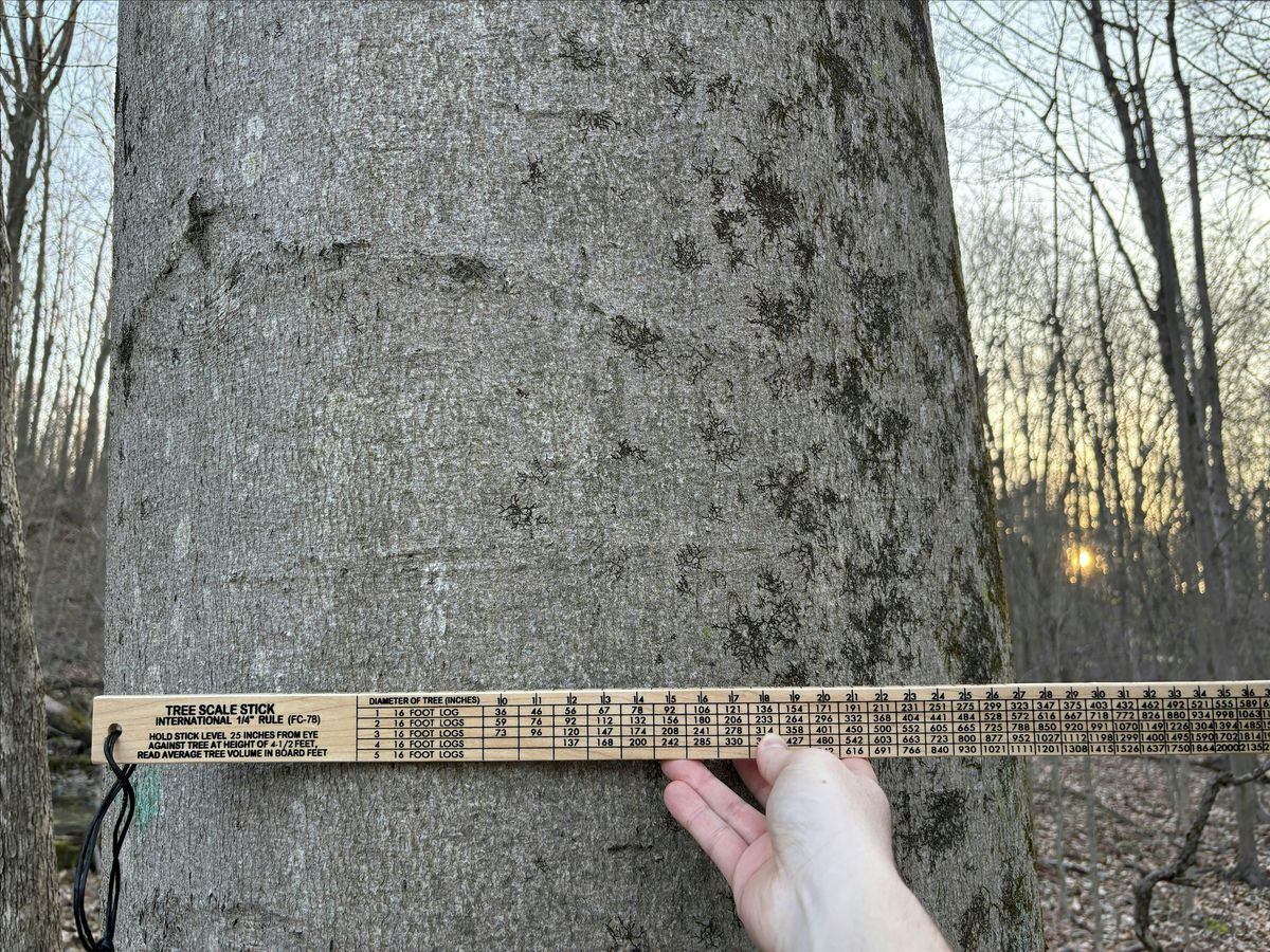 Exploring Old-Growth Measurements Workshop- Joliet, Illinois