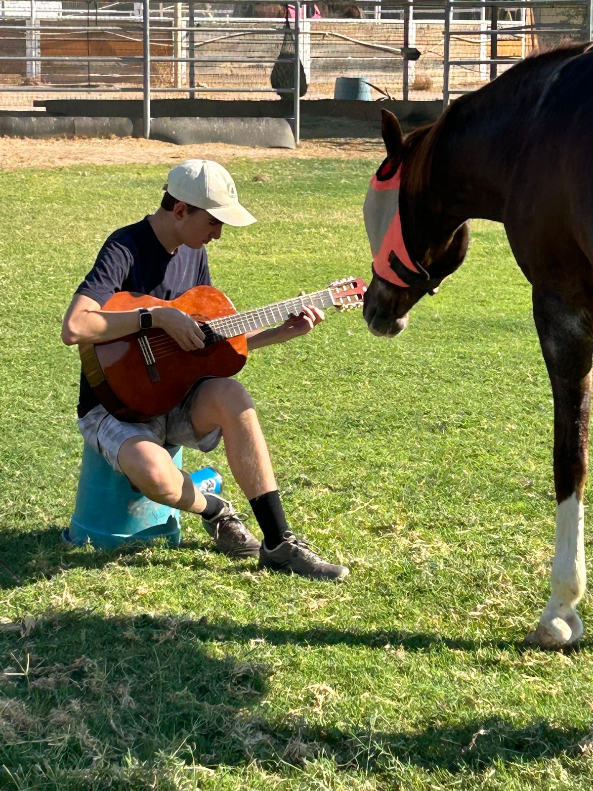 Equine-Assisted Learning Fall Break Camp!