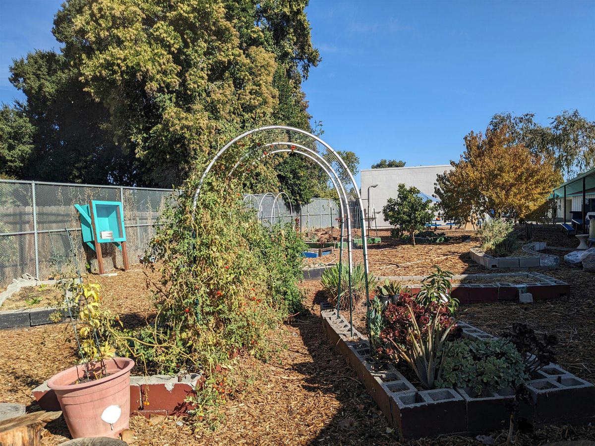 Cambridge Garden Workday